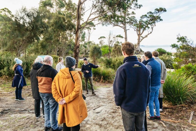 Hobart: Bruny Island Gourmet Sightseeing Day Tour - Local Produce Tasting