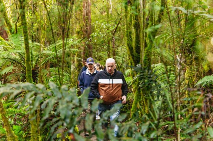 Hobart: Bruny Island Gourmet Sightseeing Day Tour - Booking and Cancellation