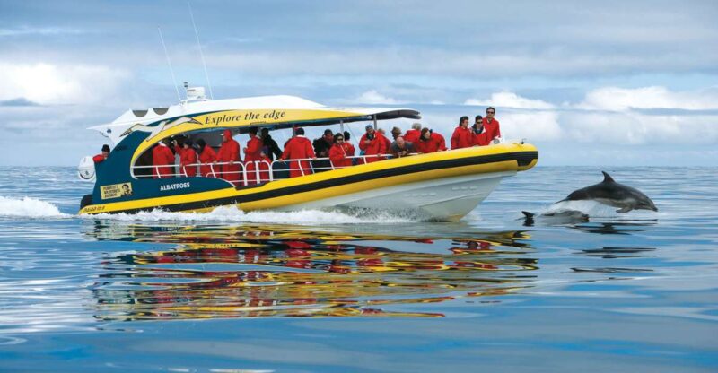 Hobart: Bruny Island Wilderness Coast Eco Cruise With Lunch - Exploring Friar Rocks and Seals