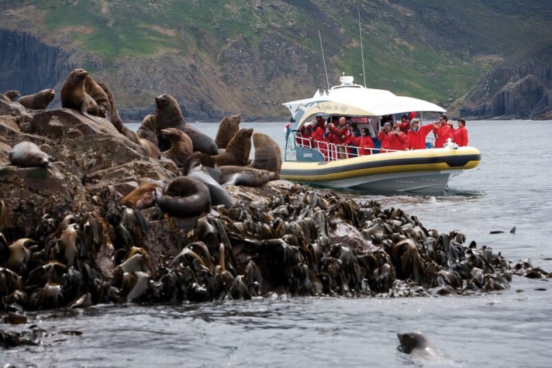 Hobart: Bruny Island Wilderness Coast Eco Cruise With Lunch - Witnessing the Breathing Rock Blowhole