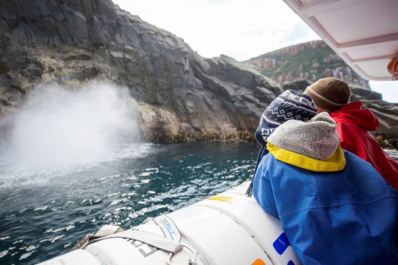 Hobart: Bruny Island Wilderness Coast Eco Cruise With Lunch - 3-Hour Wilderness Cruise Experience