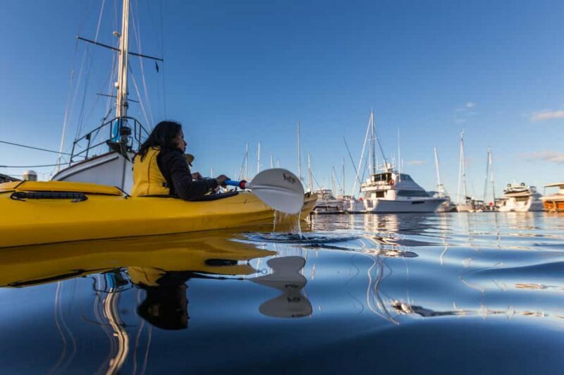 Hobart City 2.5-Hour Kayak Tour - The Sum Up: Is It Worth It?
