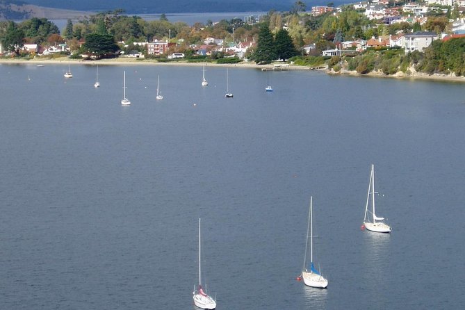 Hobart City Flight Including Mt Wellington and Derwent River - Reviews and Ratings