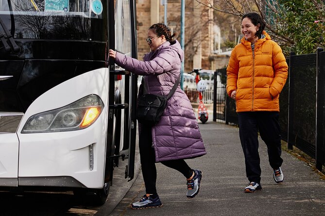 Hobart City Sightseeing Tour Including MONA Admission - Accessibility and Traveler Information