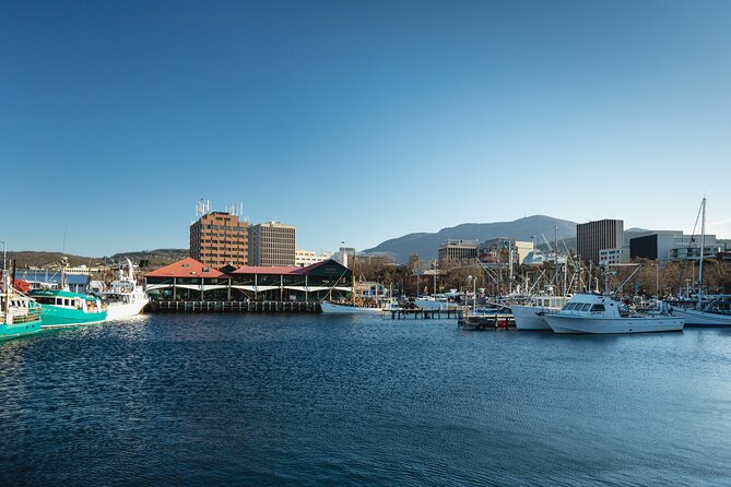 Hobart City Sightseeing Tour Including MONA Admission - MONA Experience