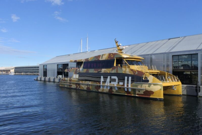 Hobart: Day Trip to Mt Wellington and MONA With Ferry Ride - Highlights and Experiences