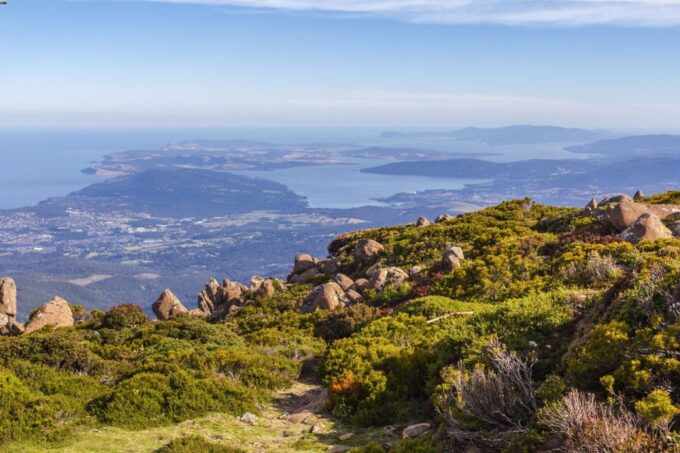 Hobart: Day Trip to Mt Wellington and MONA With Ferry Ride - Cruise Along Derwent River