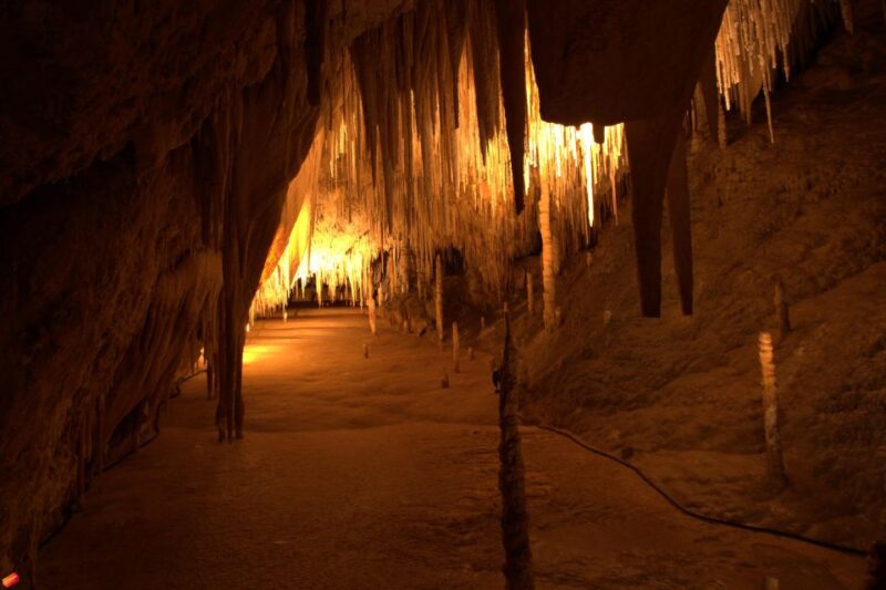 Hobart: Full-Day Tahune Airwalk & Hastings Caves Tour - Crossing the Swinging Bridges Walk