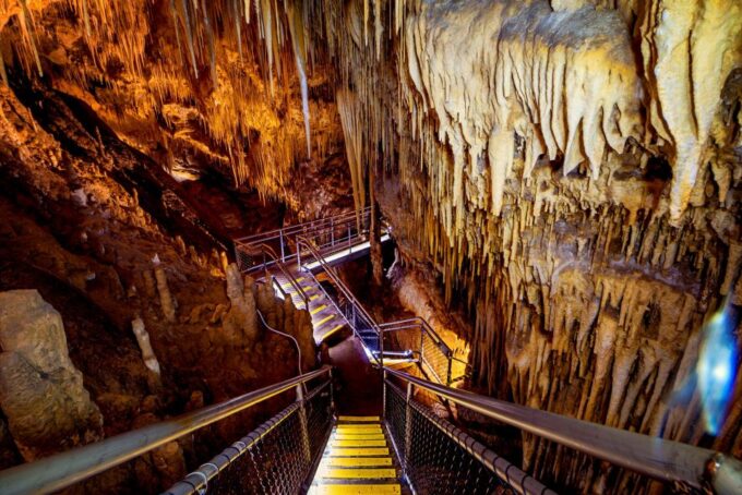 Hobart: Full-Day Tahune Airwalk & Hastings Caves Tour - Tour Duration and Group Size