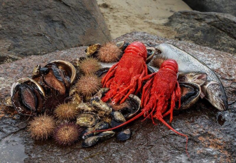 Hobart: Full-Day Tasmania Gourmet Seafood Cruise - Exploring the Pristine Landscapes