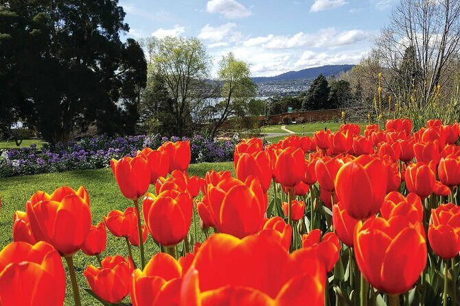 Hobart Half-Day Sightseeing City Tour - Gardens and Green Spaces