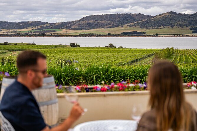 Hobart Half Day Wine and Food Tour - Pricing & Value