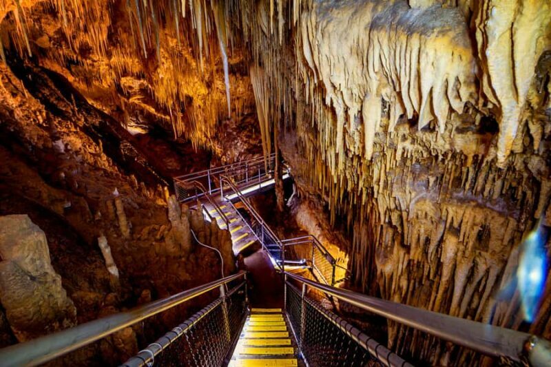 Hobart: Hastings Cave, Tahune Airwalk and Huon Tasting Trail - A Full Breakdown of What to Expect