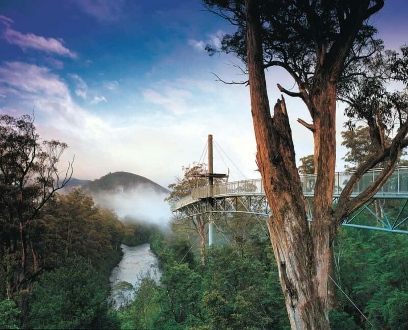 Hobart: Hastings Cave, Tahune Airwalk and Huon Tasting Trail - Who Should Consider This Tour?