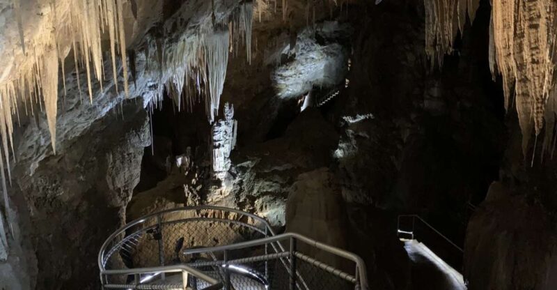 Hobart: Hastings Caves, Tahune Airwalk, and Huon Valley Tour - Key Points