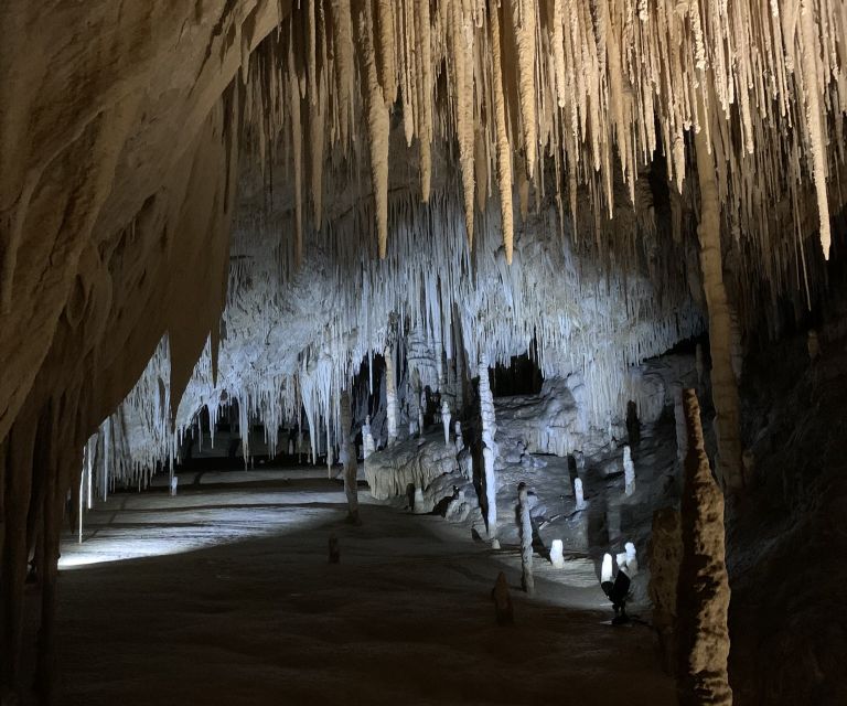 Hobart: Hastings Caves, Tahune Airwalk, and Huon Valley Tour - Pickup and Drop-off Locations