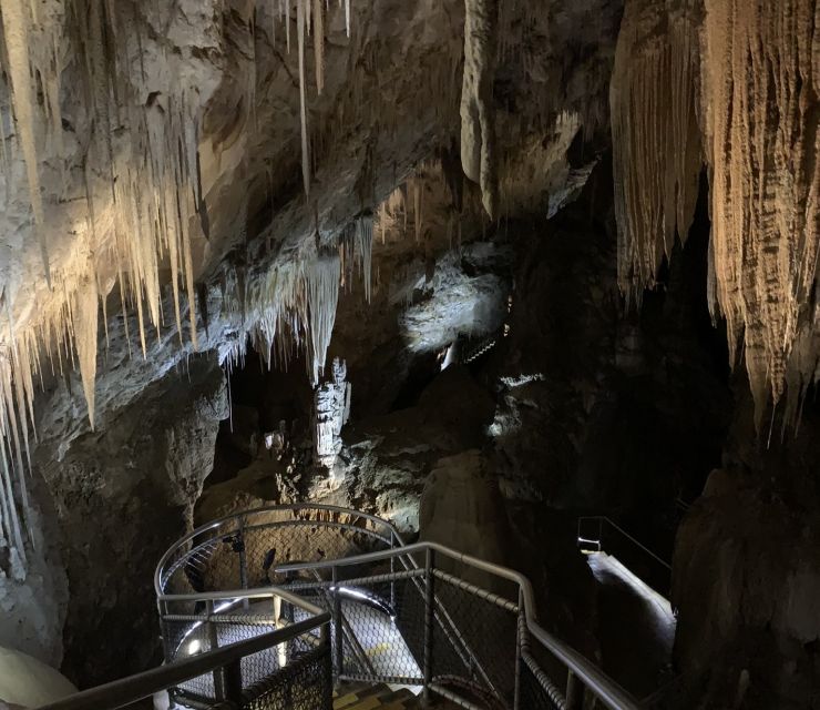 Hobart: Hastings Caves, Tahune Airwalk, and Huon Valley Tour - Hastings Caves Exploration
