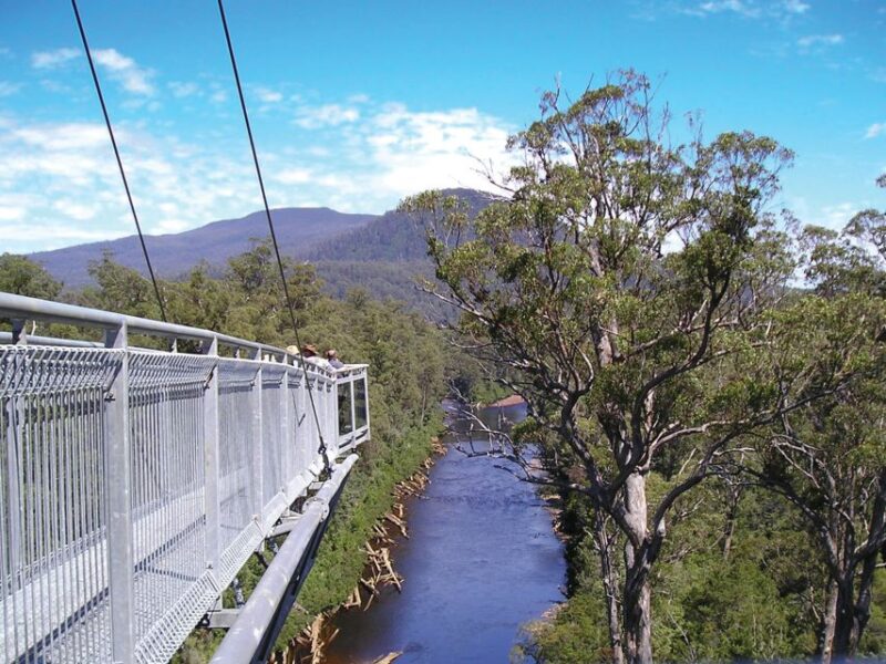 Hobart: Hastings Caves, Tahune Airwalk, and Huon Valley Tour - Tahune Airwalk Experience