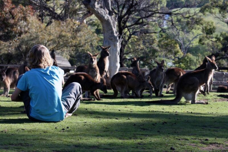 Hobart: Hobart, Richmond, & Bonorong Wildlife Sanctuary Tour - Tour Duration and Inclusions