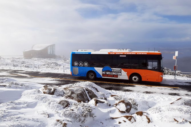 Hobart Hop-On Hop-Off Bus & Kunanyi/Mt Wellington Tour - Customer Reviews and Feedback