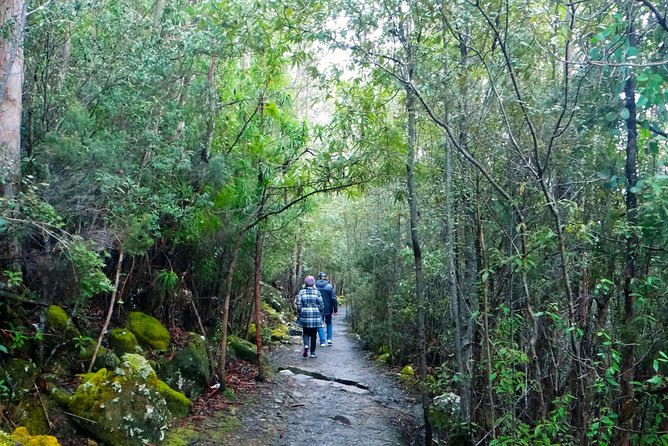 Hobart Hop-On Hop-Off Bus & Kunanyi/Mt Wellington Tour - Scenic Highlights