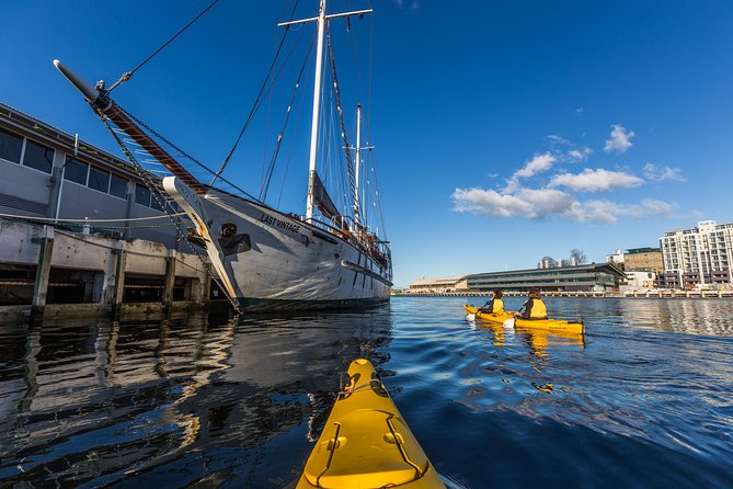 Hobart Kayak Tour - Cliffs/Caves/Beaches Tour