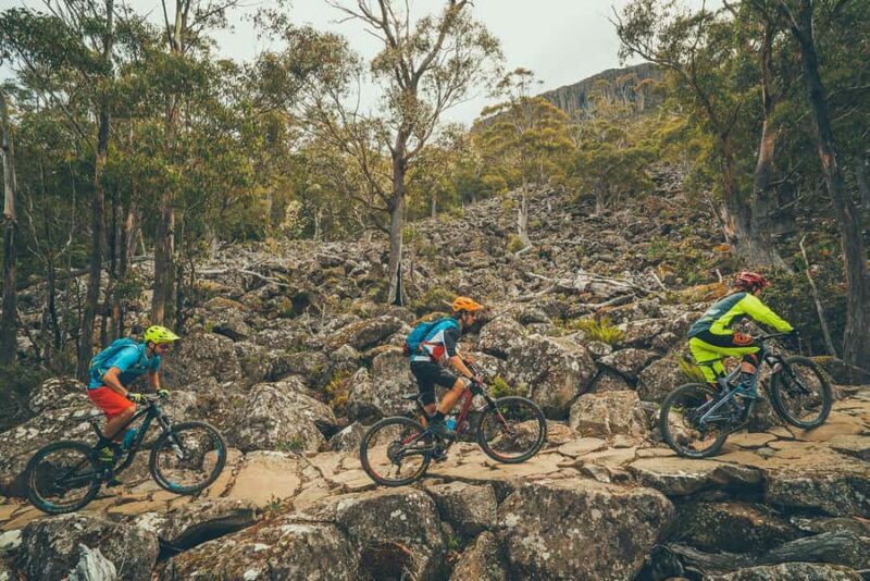 Hobart: kunanyi/Mt Wellington Explorer Bus Pass - Practical Tips for Visitors