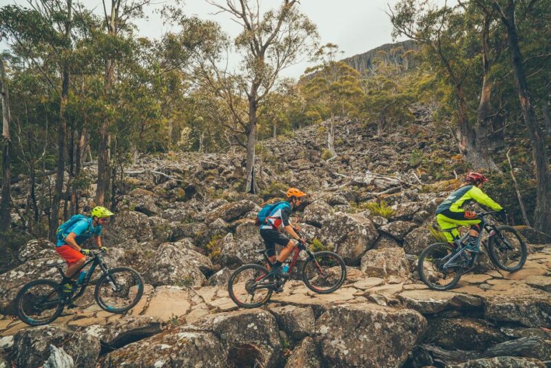 Hobart: Kunanyi/Mt Wellington Explorer Bus Pass - Itinerary Highlights