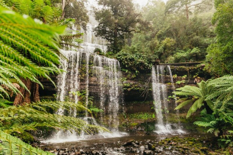 Hobart: Mt Wellington, Mt Field, Bonorong and Richmond Trip - Key Points