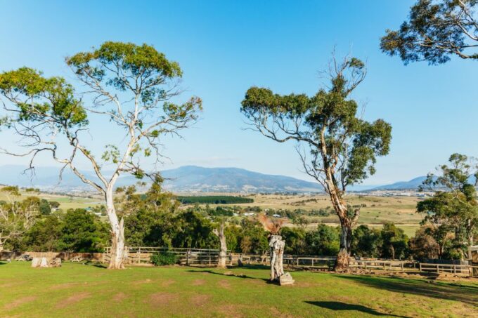 Hobart: Mt Wellington, Mt Field, Bonorong and Richmond Trip - Price and Booking Information