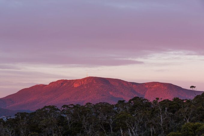 Hobart: Nipaluna Half-Day Highlights Tour - Panoramic Views at Kunanyi
