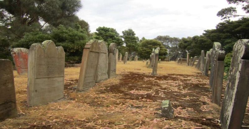 Hobart: Port Arthur, Harbor Cruise and Isle of the Dead Tour - Discovering Tasman National Park