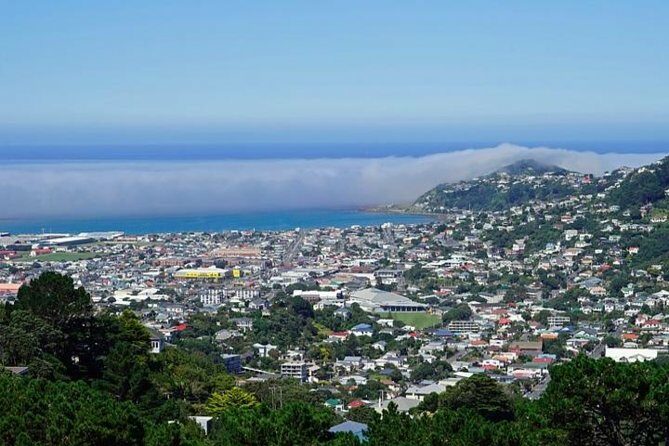 Hobart Shore Excursion: Small Group Mount Wellington 3-Hour Bike Tour - Key Points
