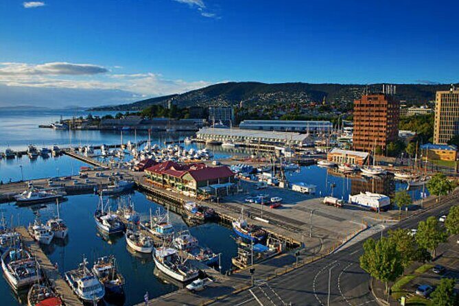 Hobart Shore Excursion: Small Group Mount Wellington 3-Hour Bike Tour - How Does It Compare in Value?