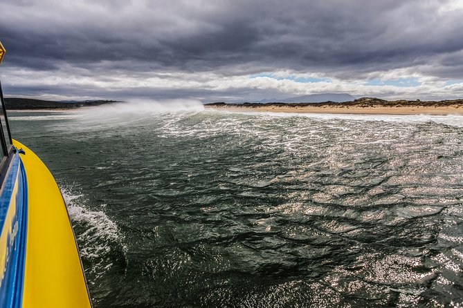 Hobart Sightseeing Cruise Including Iron Pot Lighthouse - Review Highlights