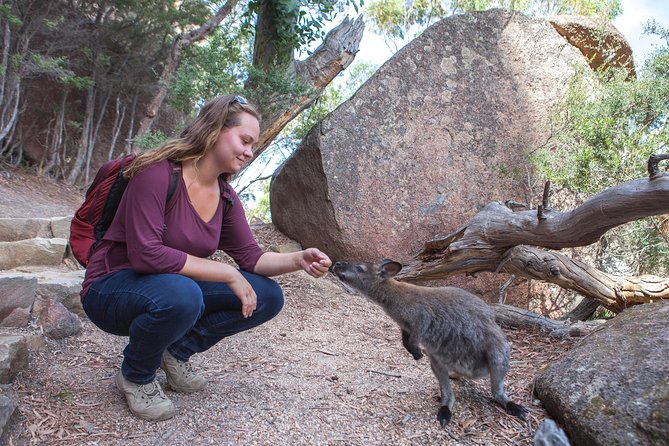 Hobart to Launceston via Wineglass Bay - Active One-Way Day Tour - Freycinet National Park Highlights