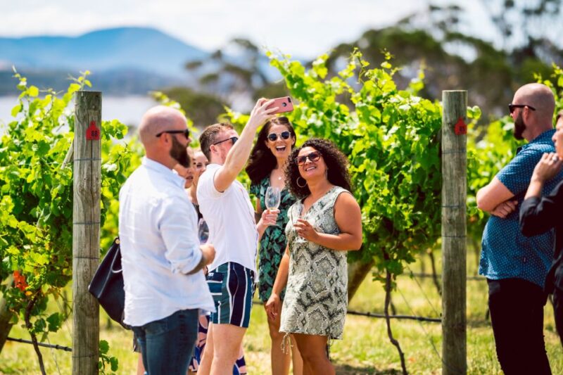 Hobart: Top Tasmanian Wineries Day Tour With Tastings - Visiting Boutique Tasmanian Wineries