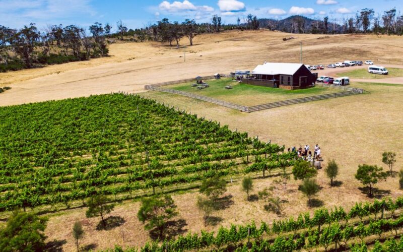 Hobart: Top Tasmanian Wineries Day Tour With Tastings - Award-Winning Cool Climate Wines