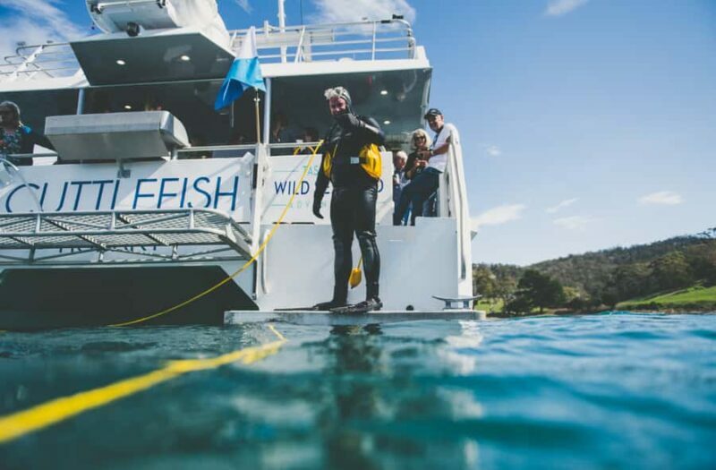 Hobart: Ultimate Seafood Cruise on a Spacious Catamaran - Introduction: A Seafood Adventure with a View