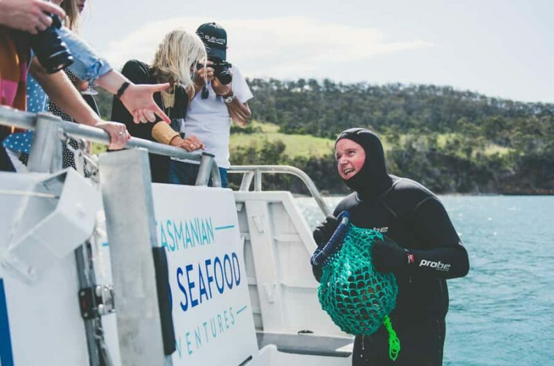 Hobart: Ultimate Seafood Cruise on a Spacious Catamaran - Why This Tour Offers Great Value
