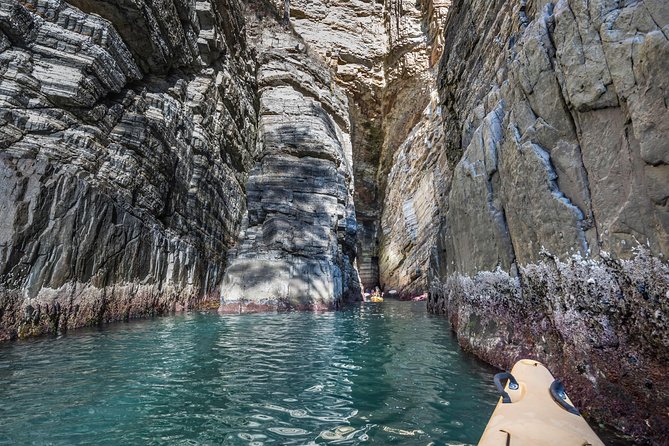 Hobarts Cliffs, Caves and Beaches Kayak Tour - Key Points