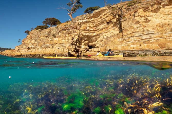 Hobarts Cliffs, Caves and Beaches Kayak Tour - Additional Information