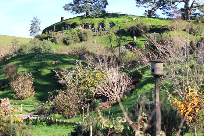 Hobbiton and Spellbound Tour (Glowworm Cave at Waitomo) - Booking Information