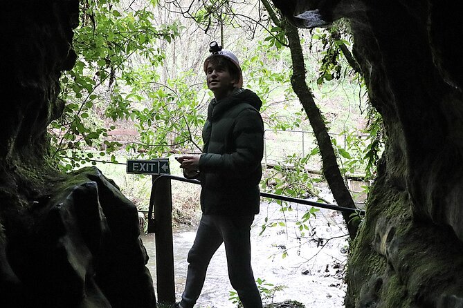 Hobbiton and Spellbound Tour (Glowworm Cave at Waitomo) - Reviews and Ratings
