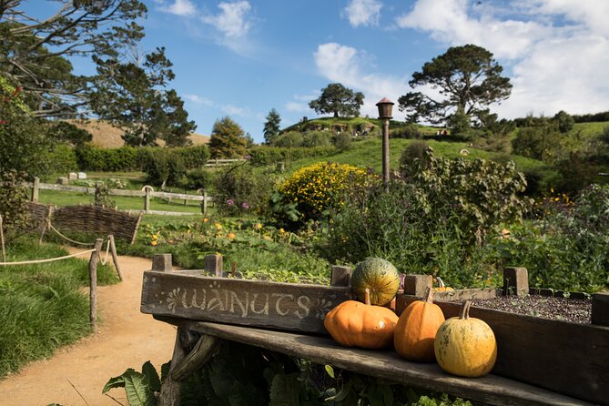 Hobbiton Day Tour From Rotorua With Lunch at Hobbiton - Experience Highlights