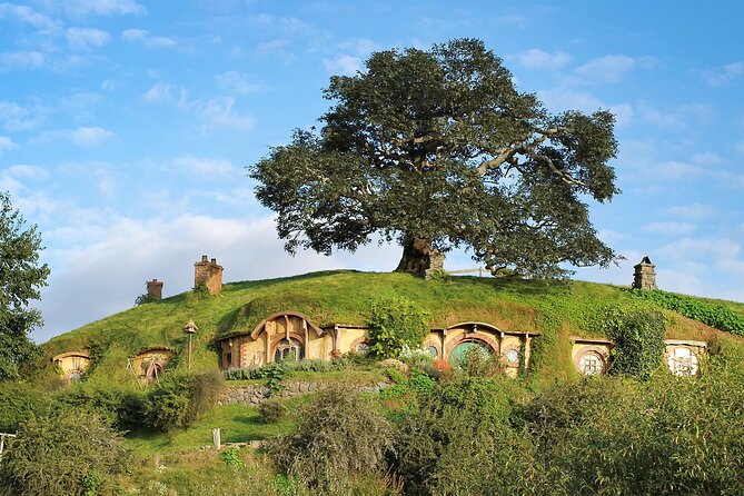 Hobbiton Day Tour From Rotorua With Lunch at Hobbiton - Tour Recommendation
