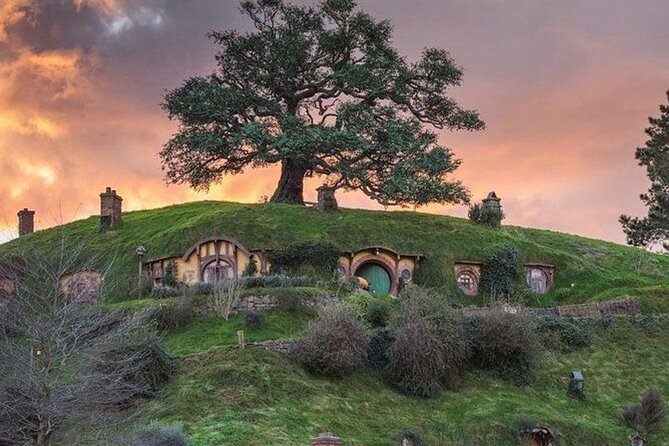 Hobbiton Movie Set and Auckland City Tour a Day Trip - Participant Information