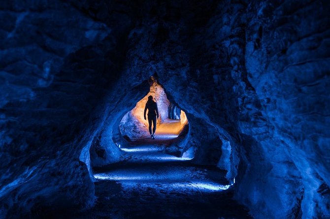 Hobbiton Movie Set and Waitomo Caves Full Day Tour From Auckland - Tour Type