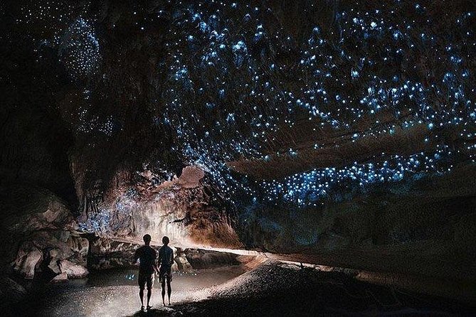 Hobbiton Movie Set and Waitomo Caves Full Day Tour From Auckland - Waitomo Caves