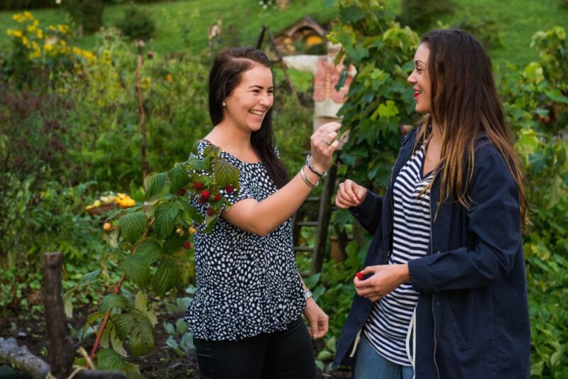 Hobbiton Movie Set & Rotorua Premium Day Tour From Auckland - Customer Reviews and Feedback